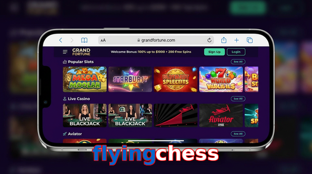 Main screen of Flyingchess ios page for PK players
